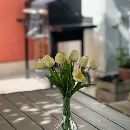 Gemini Apartment Kastela