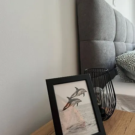 Apartment Gemini